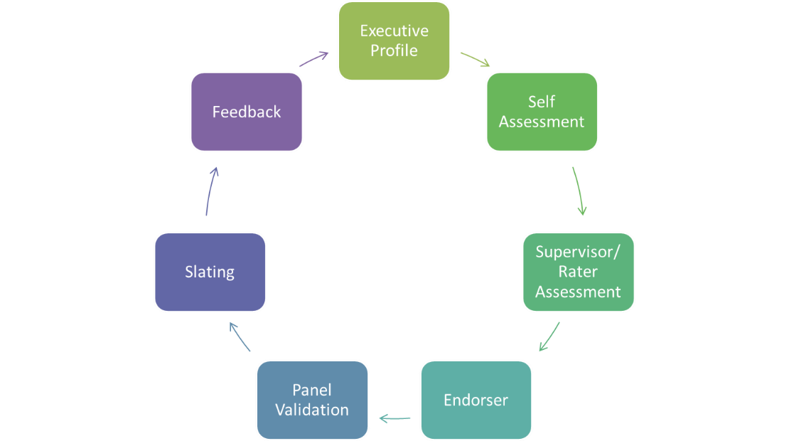 A circular diagram with 7 boxes connecting clockwise. The boxes are Executive Profile, Self Assessment, Supervisor/Rater Assessment, Endorser, Panel Validation, Slating and Feedback.